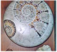 Scatola grande decorazione fossili tecnica marmorizzata - Dimensioni: 16,5